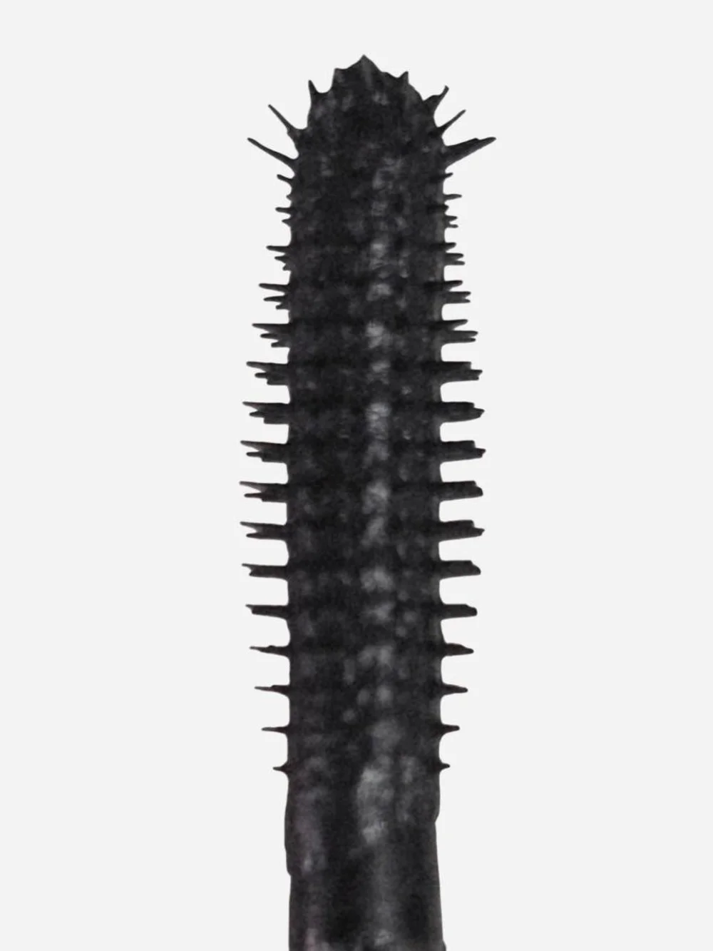 Saie mascara 101